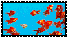 fish swimming